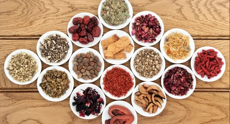 Nutraceutical Ingredients